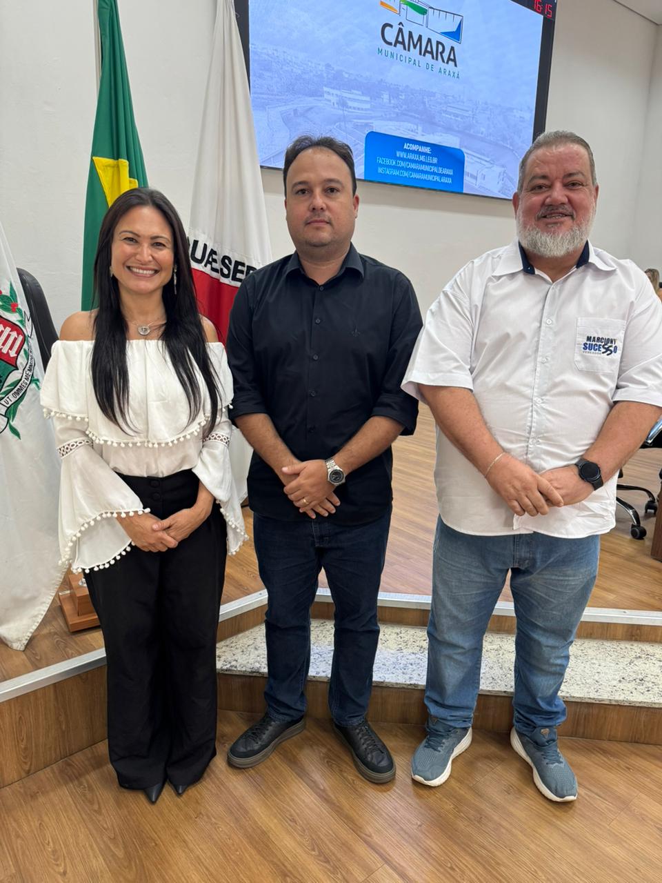 Comissão de Educação, Cultura, Saúde e Segurança.jpeg