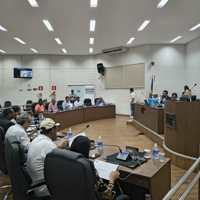 plenário 1 (2).jpeg